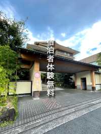 【静岡/伊東】宿泊特典！椿油抽出体験！🌼