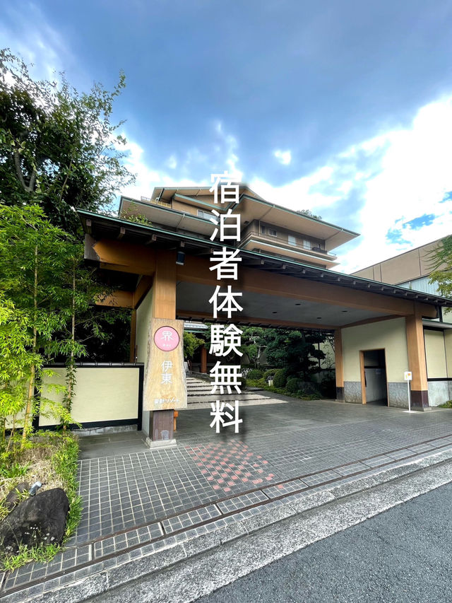 【静岡/伊東】宿泊特典！椿油抽出体験！🌼