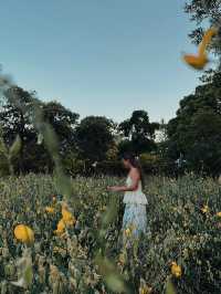 แลนด์มาร์กแห่งใหม่ใจกลางกรุง 🌼🌳