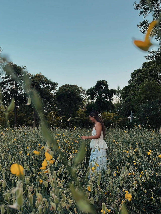 แลนด์มาร์กแห่งใหม่ใจกลางกรุง 🌼🌳