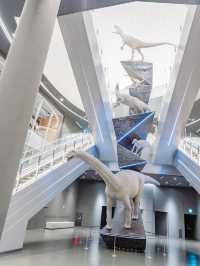 【福井】恐竜の歴史を学ぶ旅🦖
