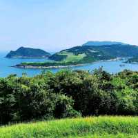 大坑墩清水灣郊野公園