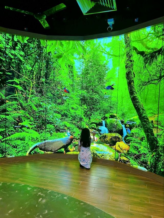 Up Close with Animals at Bird Paradise