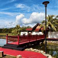 "Rejuvenate in Nature at Ayer Hangat Hot Spring, Langkawi"