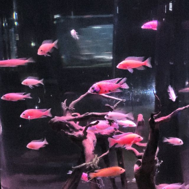 Underwater World Pattaya 