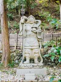 【京都府】日本で唯一の「髪」の神社