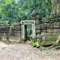【カンボジア/シェムリアップ】自然と遺跡が融合した神秘的なタプローム寺院