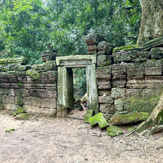 【カンボジア/シェムリアップ】自然と遺跡が融合した神秘的なタプローム寺院