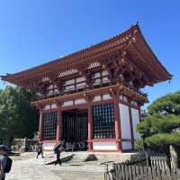【大阪/天王寺】都会にある大きなお寺👀