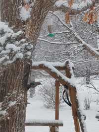 The Most Memorable Place in Hokkaido