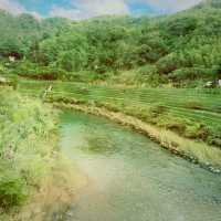 猴硐貓村：與貓咪和美景相遇