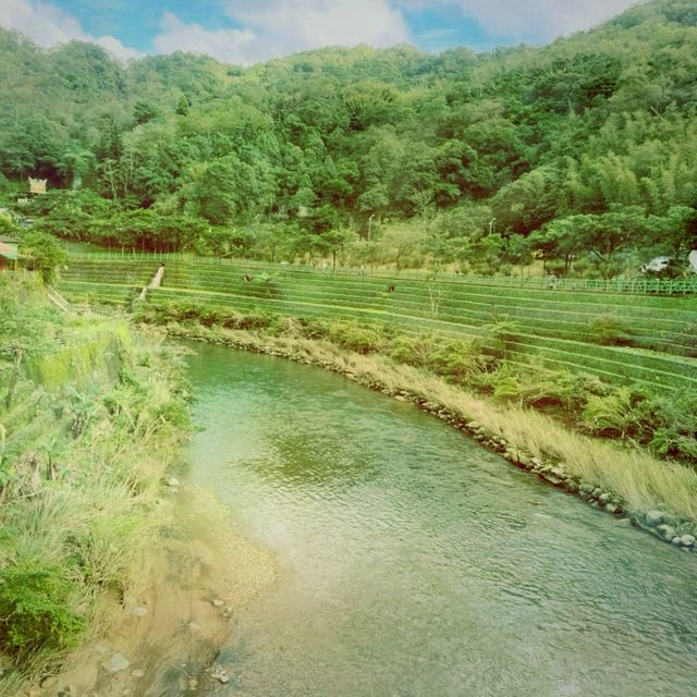 猴硐貓村：與貓咪和美景相遇