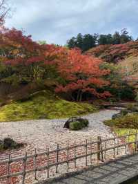 【宮城県･松島町】景色が素敵な円通院🍁