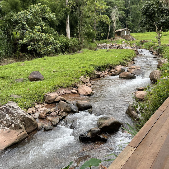 หลงเขา บ่อเกลือ จ.น่าน⛰️