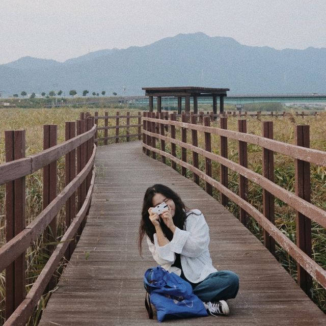 강진으로 떠나는 가을여행