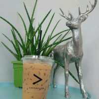 cafe D คาเฟ่นั่งทำงาน หัวหิน