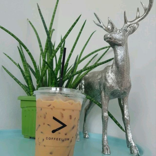 cafe D คาเฟ่นั่งทำงาน หัวหิน