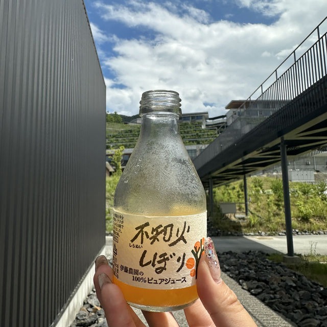 VISONの夏