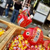 東京近郊-川越祭