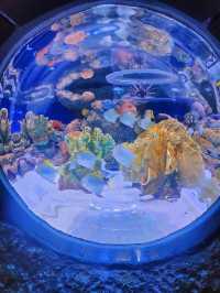 バンコク中心地にあるアクアリウム🐠