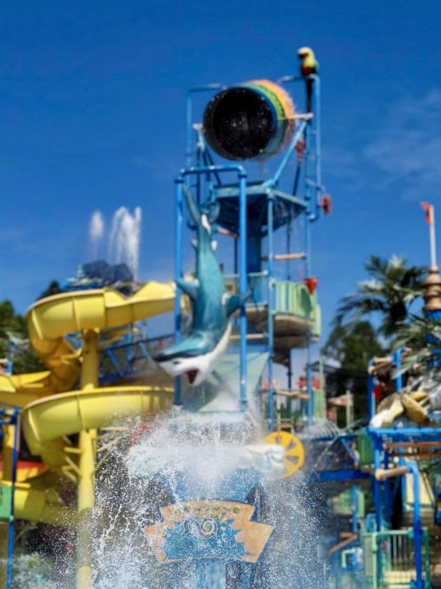 🌊長隆水上樂園：極致清涼與歡樂的水世界