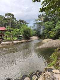 Things to do in Bukit Lawang 