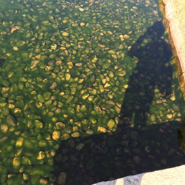 【岡山】四季を感じる後楽園