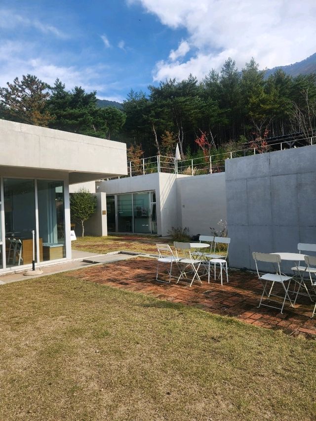 행복한 가을여행 아미꼬뜨 카페❤️