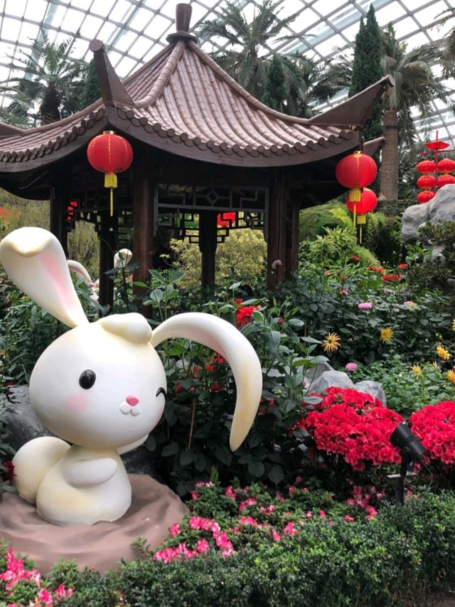 Guinness World Record for World’s Largest Glass Greenhouse 🇸🇬