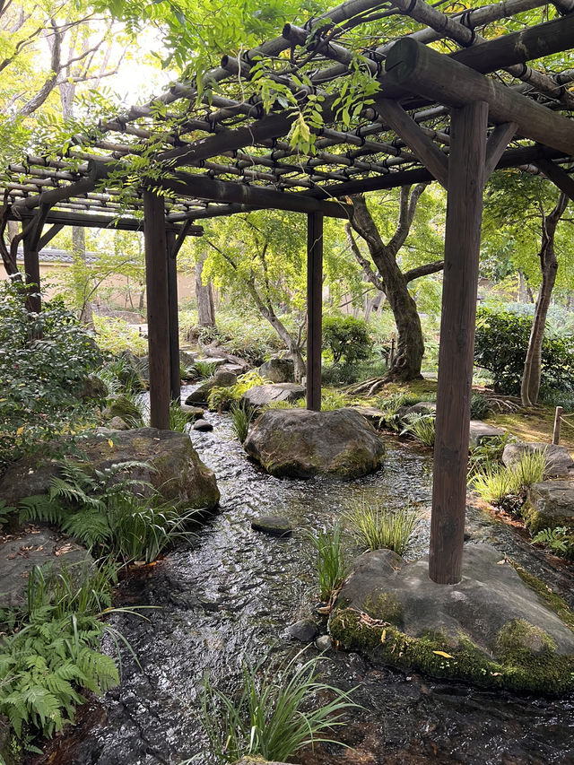 日本獨旅18天Day12 姬路