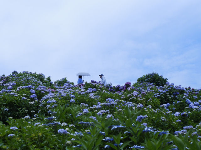 名古屋愛知縣景點：適合自駕遊 