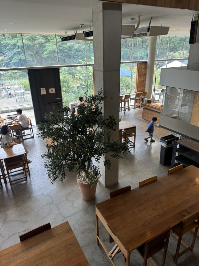 애견동반도 가능한 숲뷰 카페 🌳