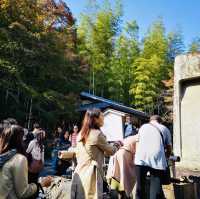 Autumn Bliss: Exploring Tenryuji’s Stunning Fall Colors!