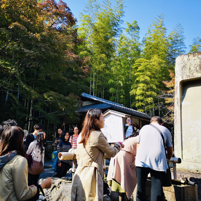 Autumn Bliss: Exploring Tenryuji’s Stunning Fall Colors!