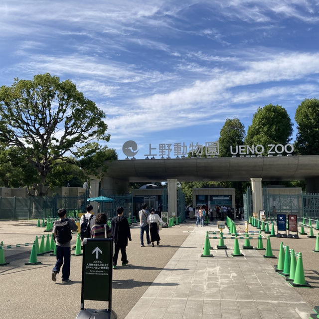 東京都一日遊放電之選｜上野公園