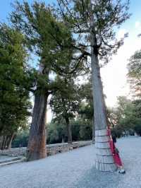 【三重】パワースポットを巡る旅