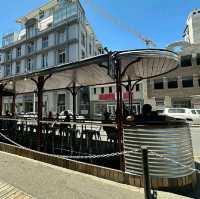 Best in Cape town area