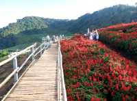 Yingyong flower garden