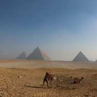 Cairo: The Timeless City of Pharaohs and Vibrant Streets
