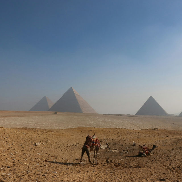 Cairo: The Timeless City of Pharaohs and Vibrant Streets