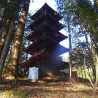 Pathway to Serenity: Strolling Through Nikko’s Ancient Cedars