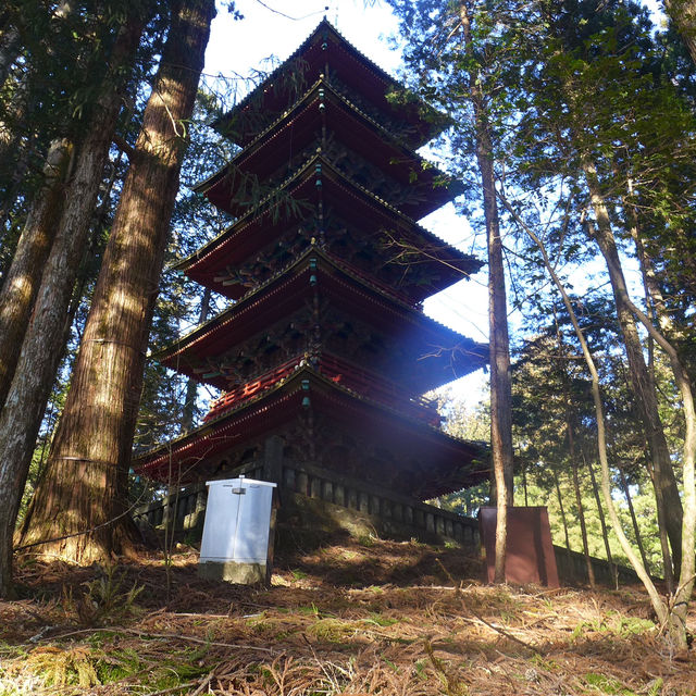 Pathway to Serenity: Strolling Through Nikko’s Ancient Cedars