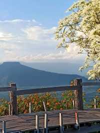 ชมวิวภูป่าเปาะ จังหวัดเลย
