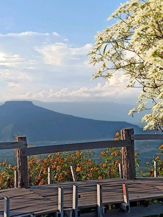 ชมวิวภูป่าเปาะ จังหวัดเลย