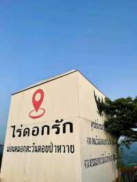 สกายโดม ม่อนหมอกตะวัน จังหวัดตาก