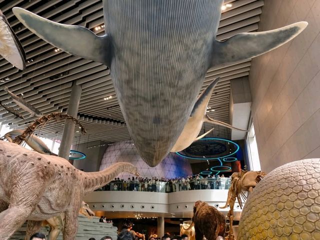 🦕🦓🦌Shanghai natural history museum