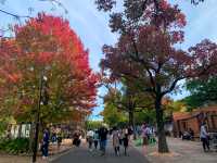 สวนสัตว์และพฤกษศาสตร์ฮิงาชิยามา 東山動植物園