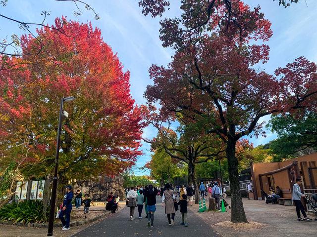 สวนสัตว์และพฤกษศาสตร์ฮิงาชิยามา 東山動植物園