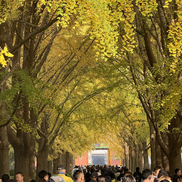 Prayers, Peace, and History: Discovering Yonghe Gong