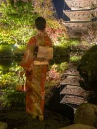 \紅葉のライトアップ/京都と言えばまずはここ！「東寺」夜間特別拝観とは？？？